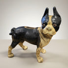 Jones Peak antique cast iron Boston Terrier coin bank with black and tan painted finish.