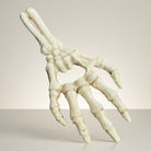 Jones Peak cast iron skeleton hand bottle opener, antique white finish, 6.5" long.